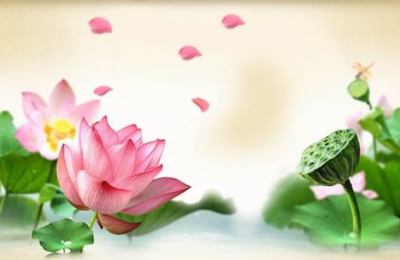 Hạnh phúc lớn nhất trong đời chính là có được một người thực sự hiểu mình!
